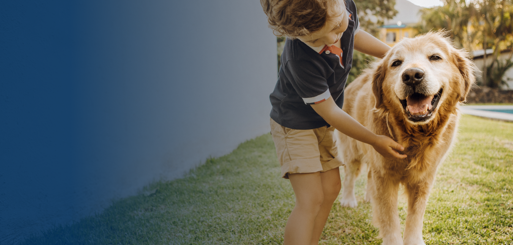Kid Petting dog