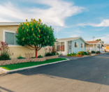 row of well manicured mobile homes